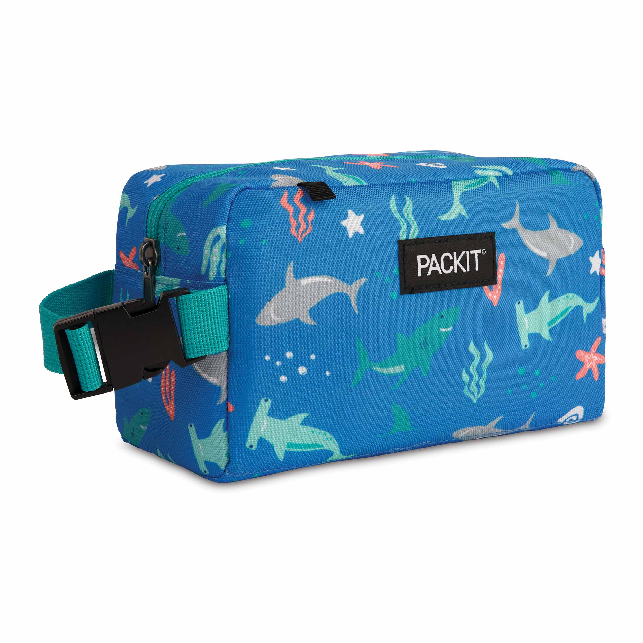 freezable-snack-box-sea-shark-right-angle.jpg
